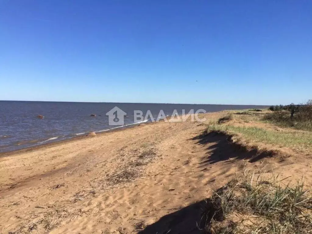 Участок в Ленинградская область, Ломоносовский район, Лебяженское ... - Фото 1
