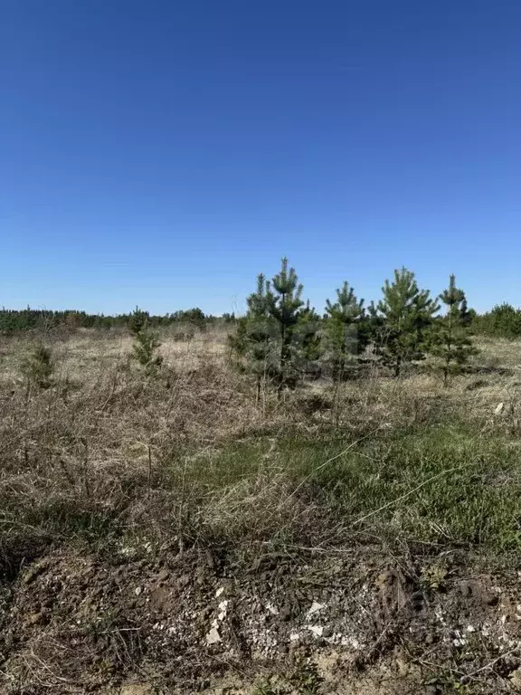 Участок в Тюменская область, Тюменский муниципальный округ, с. ... - Фото 1