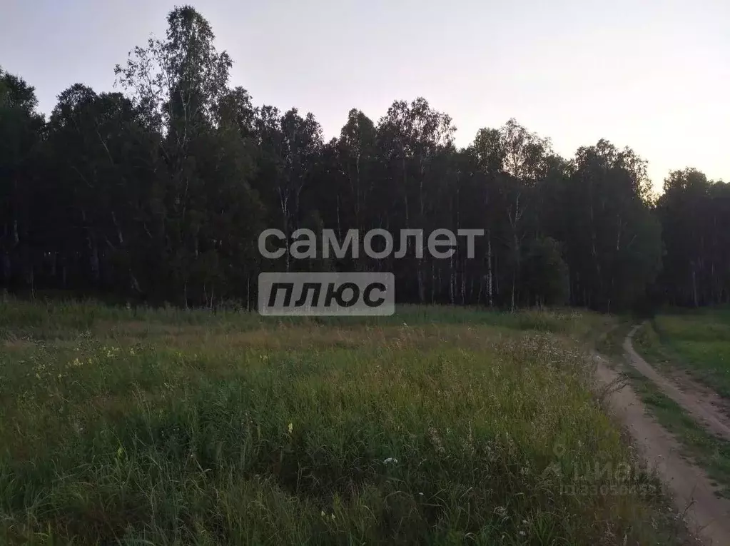 Участок в Челябинская область, Сосновский муниципальный округ, д. ... - Фото 2