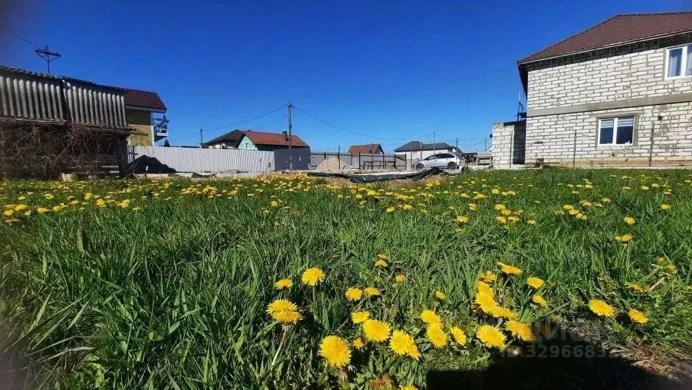 Участок в Калининградская область, Калининград Чайка СНТ, ул. ... - Фото 1