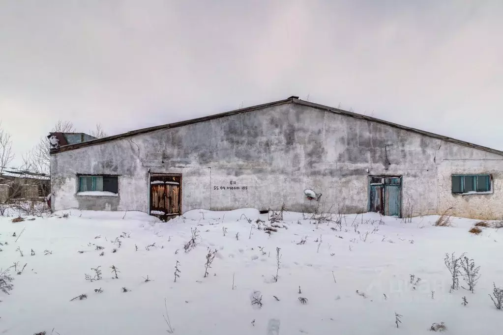 Помещение свободного назначения в Омская область, Горьковский район, ... - Фото 1