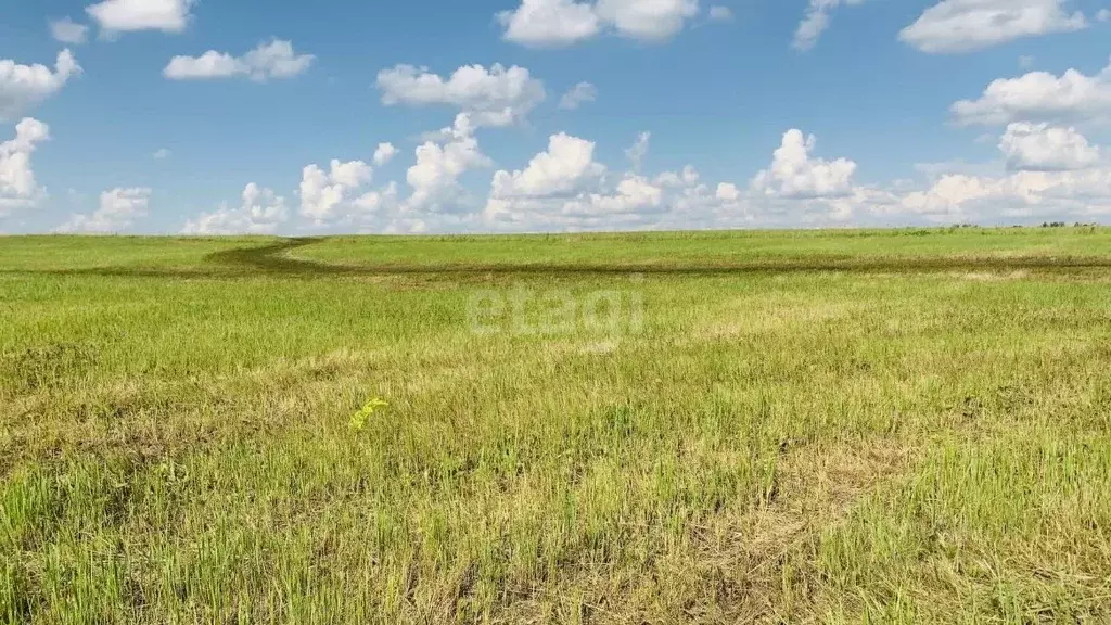 Участок в Тульская область, Новомосковск Сокольники мкр,  (15.0 сот.) - Фото 1