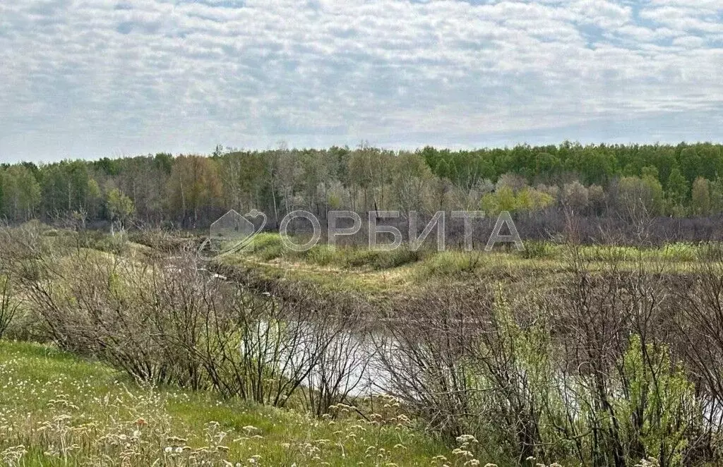 Участок в Тюменская область, Тюменский район, д. Елань  (8.54 сот.) - Фото 0