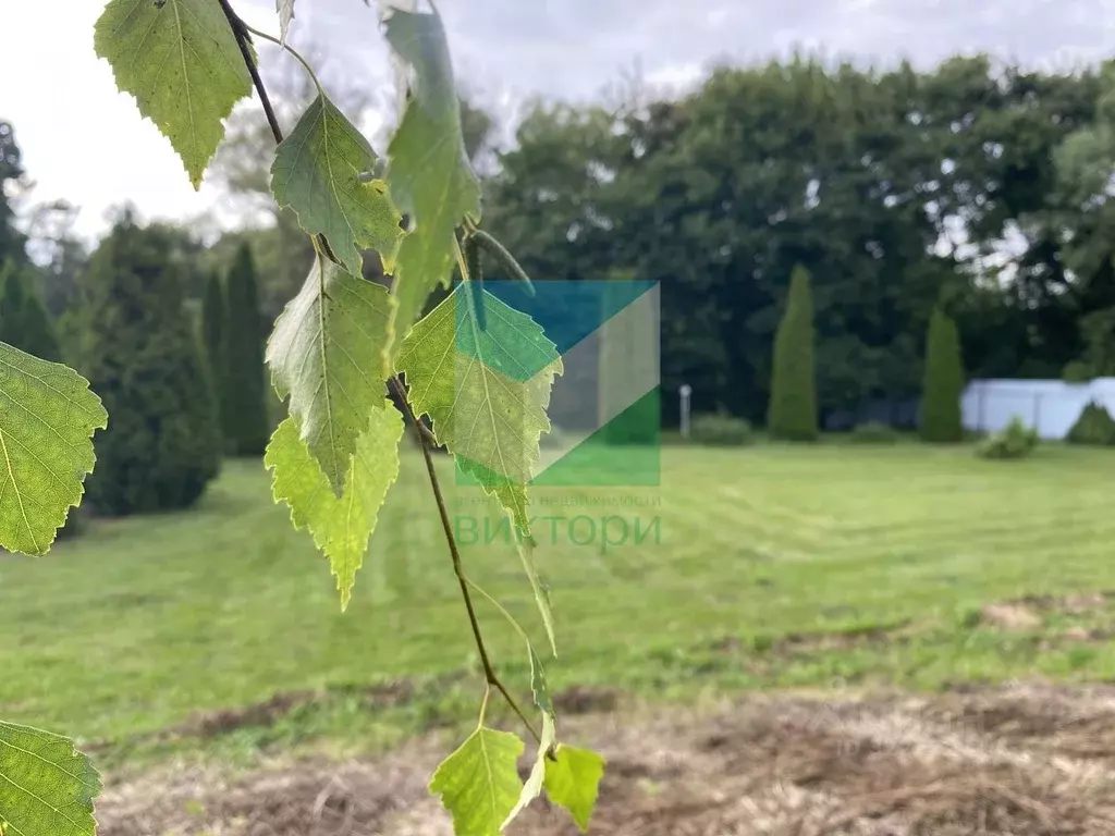 Участок в Рязанская область, Рязанский район, Окское с/пос, д. ... - Фото 2