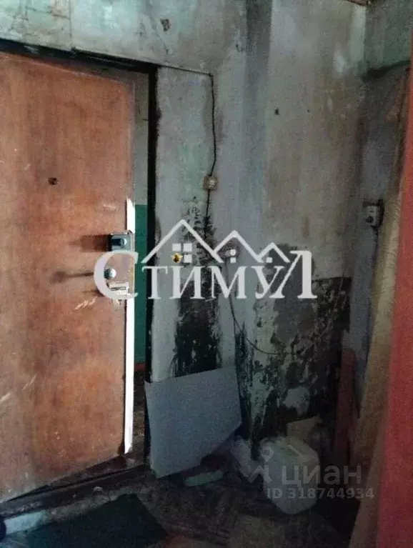 Комната Хакасия, Черногорск ул. Калинина, 19 (32.5 м) - Фото 1