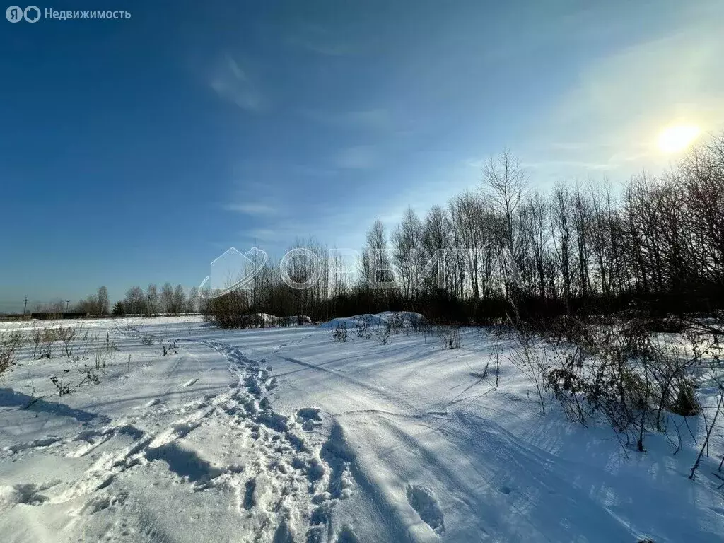 Участок в Тюменский район, деревня Пышминка (8 м) - Фото 0