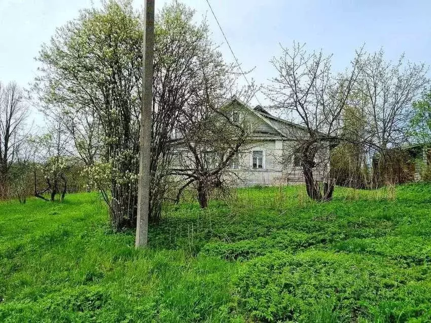 Дом в Новгородская область, Валдайский район, Костковское с/пос, д. ... - Фото 1