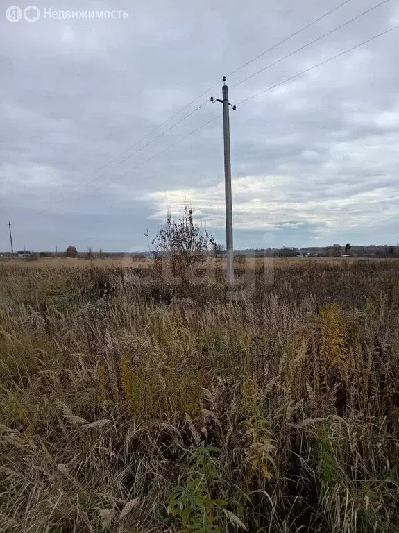 Участок в Калужская область, Бабынинский муниципальный округ, сельское ... - Фото 1