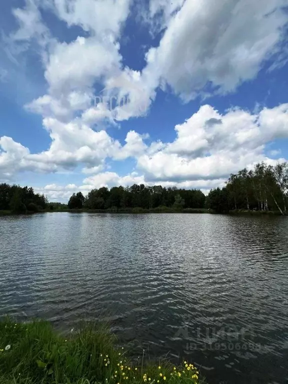 Участок в Московская область, Щелково городской округ, д. Сабурово  ... - Фото 0