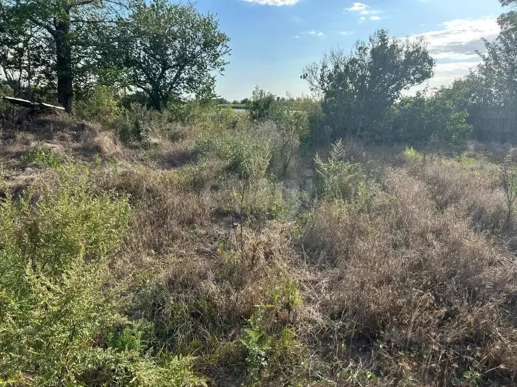 Участок в Ростовская область, Азовский район, Елизаветинское с/пос, ... - Фото 2