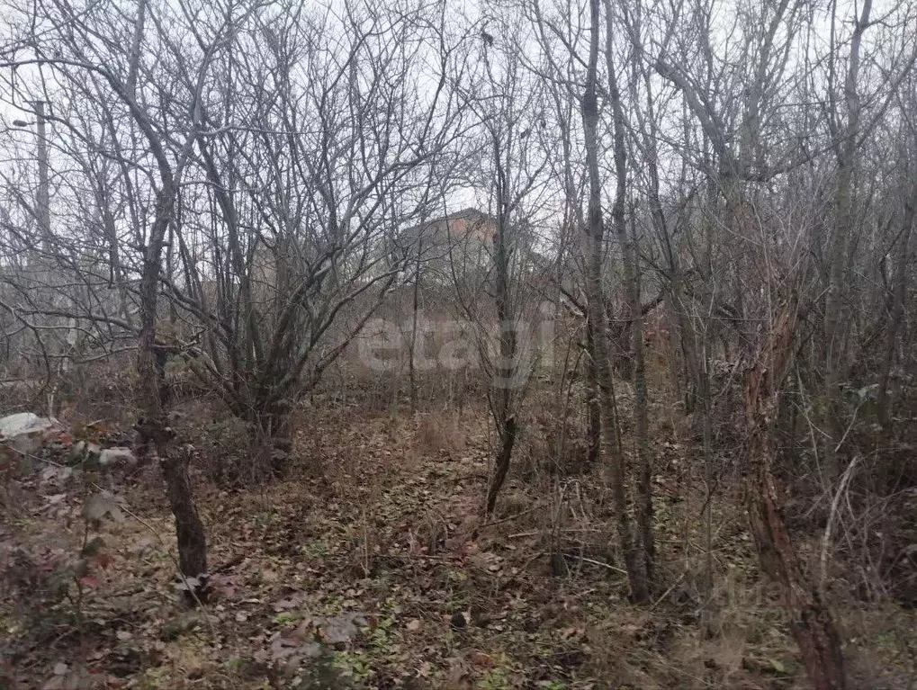 Участок в Крым, Симферопольский район, Перовское с/пос, Межгорье СПК  ... - Фото 1