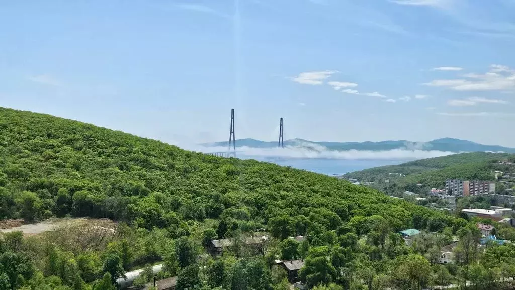 1-к кв. Приморский край, Владивосток ул. Слуцкого, 20 (30.0 м) - Фото 0