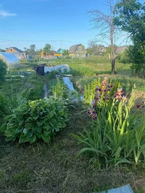 Дом в Ярославская область, Рыбинск Полиграфист-3 СНТ, 129 (45 м) - Фото 1