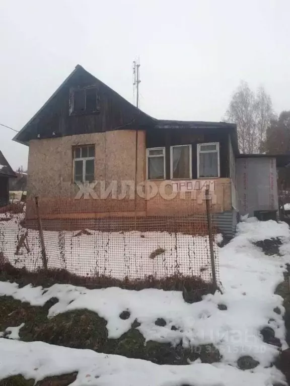 Участок в Новосибирская область, Новосибирск Золотая Горка СНТ, аллея ... - Фото 1