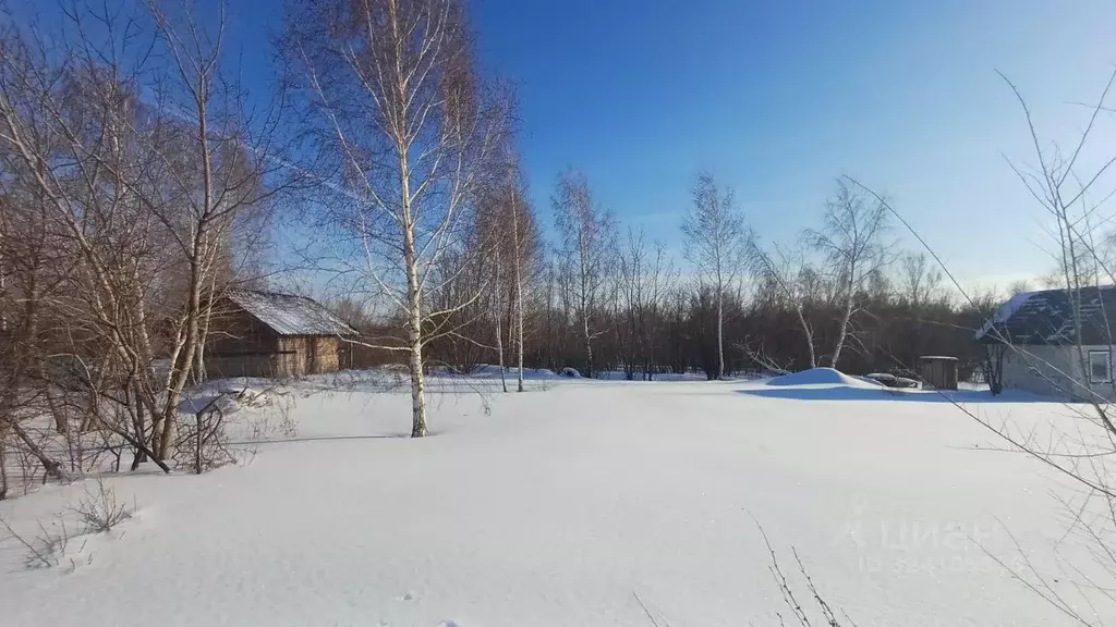 Участок в Алтайский край, Барнаул городской округ, пос. Бельмесево ... - Фото 1