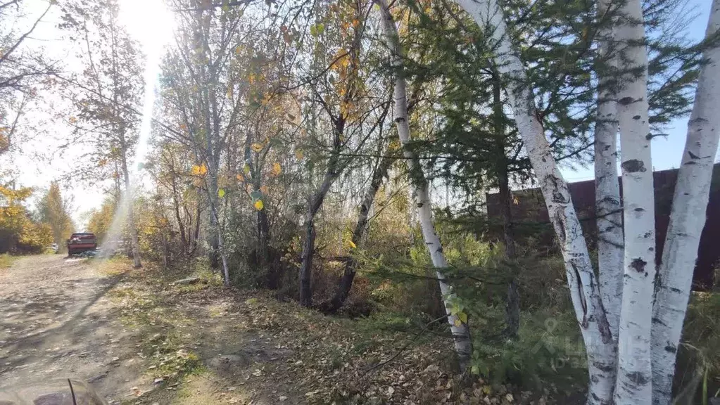 Участок в Хабаровский край, Комсомольск-на-Амуре пос. Малая Хапсоль, ... - Фото 2