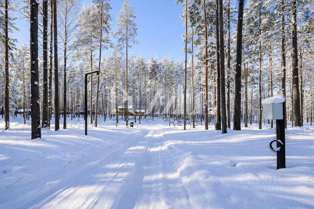 Участок в Ленинградская область, Приозерский район, Петровское с/пос, ... - Фото 2