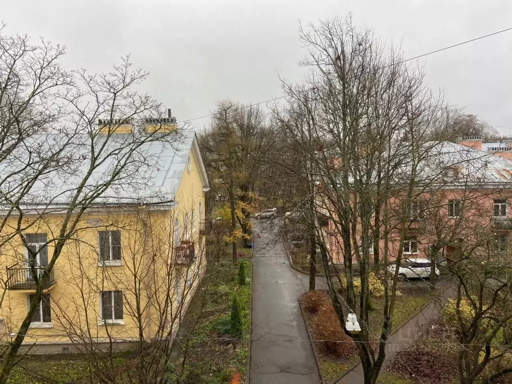 2-к кв. Санкт-Петербург, Санкт-Петербург, Пушкин Октябрьский бул., ... - Фото 2