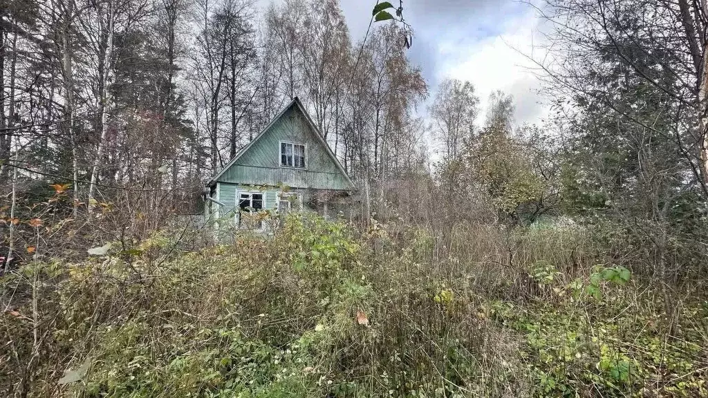 Участок в Московская область, Богородский городской округ, Восход СНТ ... - Фото 1