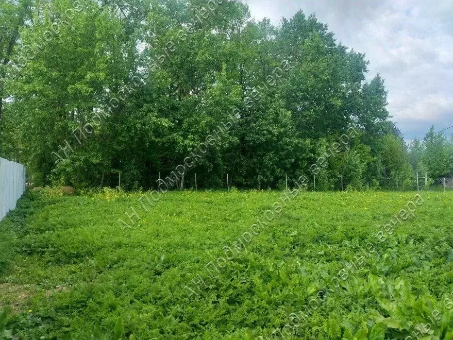 Участок в Московская область, Можайский городской округ, Изумрудное ... - Фото 0