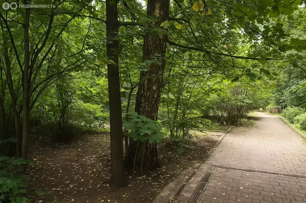 Участок в Новодарьино, ДП Новодарьино РАН (24.2 м) - Фото 2