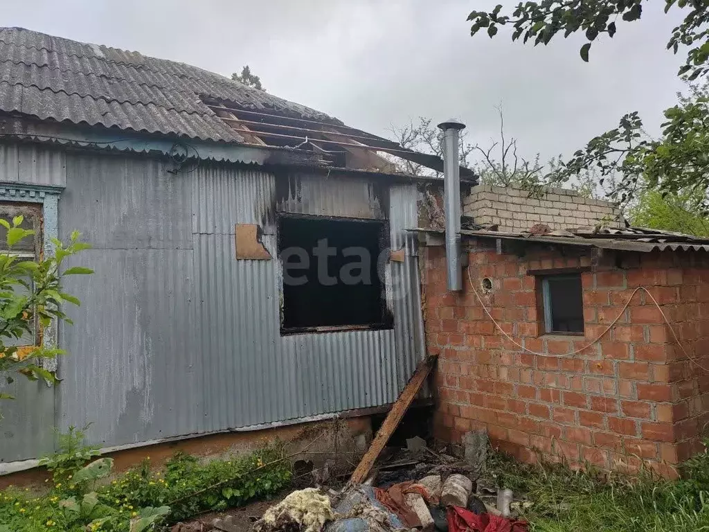 Участок в Ставропольский край, Изобильненский муниципальный округ, ... - Фото 1