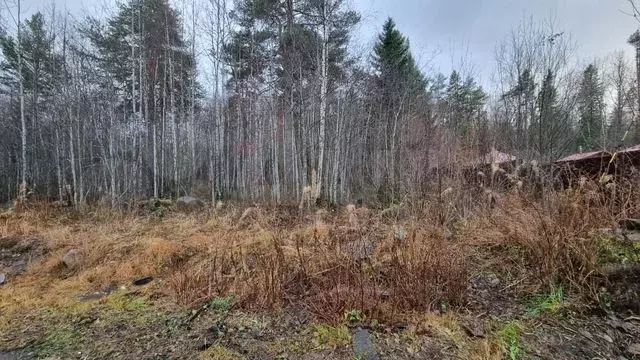 Участок 7,3 сот. (ИЖС) - Фото 0