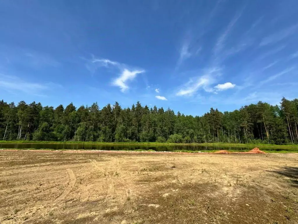 Участок, 25 сот., сельхоз (снт или днп) - Фото 1