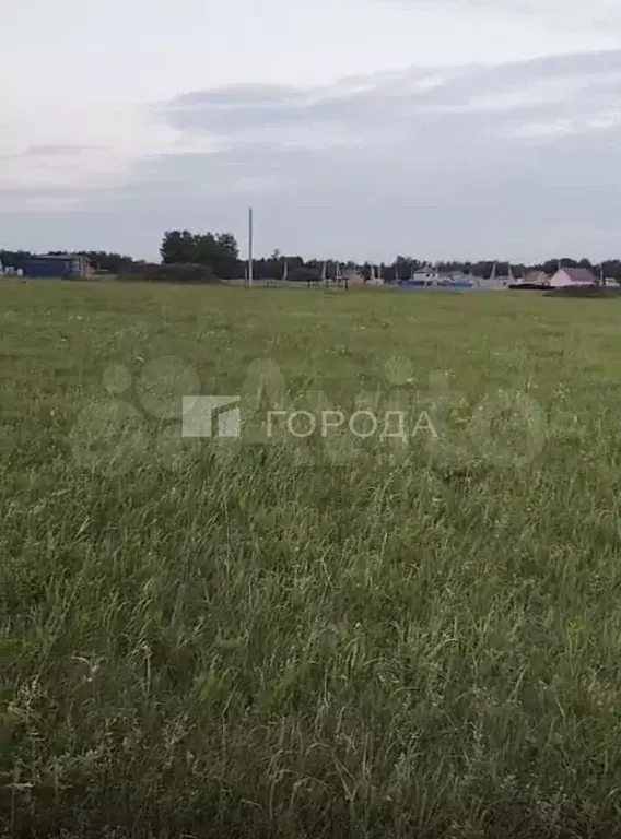 Участок 10,6 сот. (СНТ, ДНП) - Фото 1