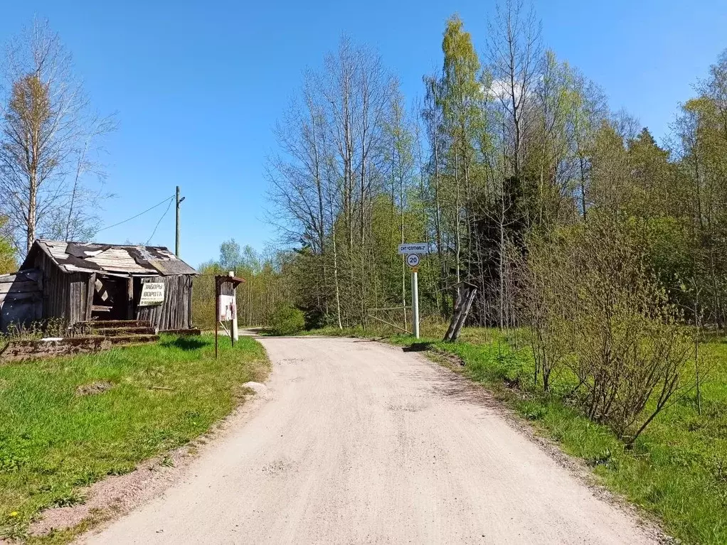 Участок в Ленинградская область, Выборгский район, Советское городское ... - Фото 0