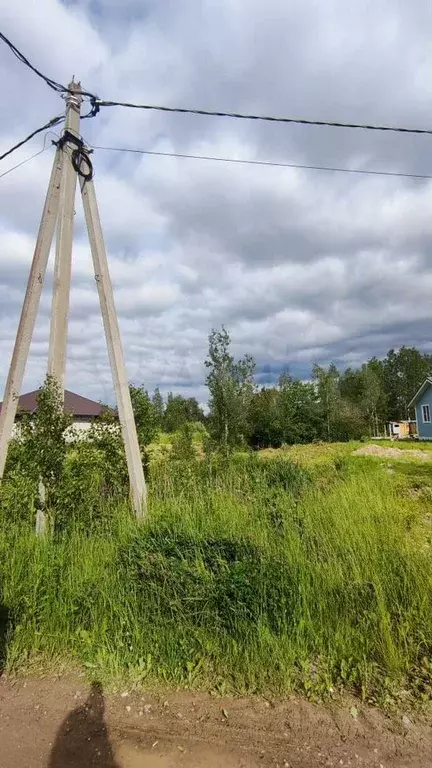 Участок 12 сот. (ИЖС) - Фото 1