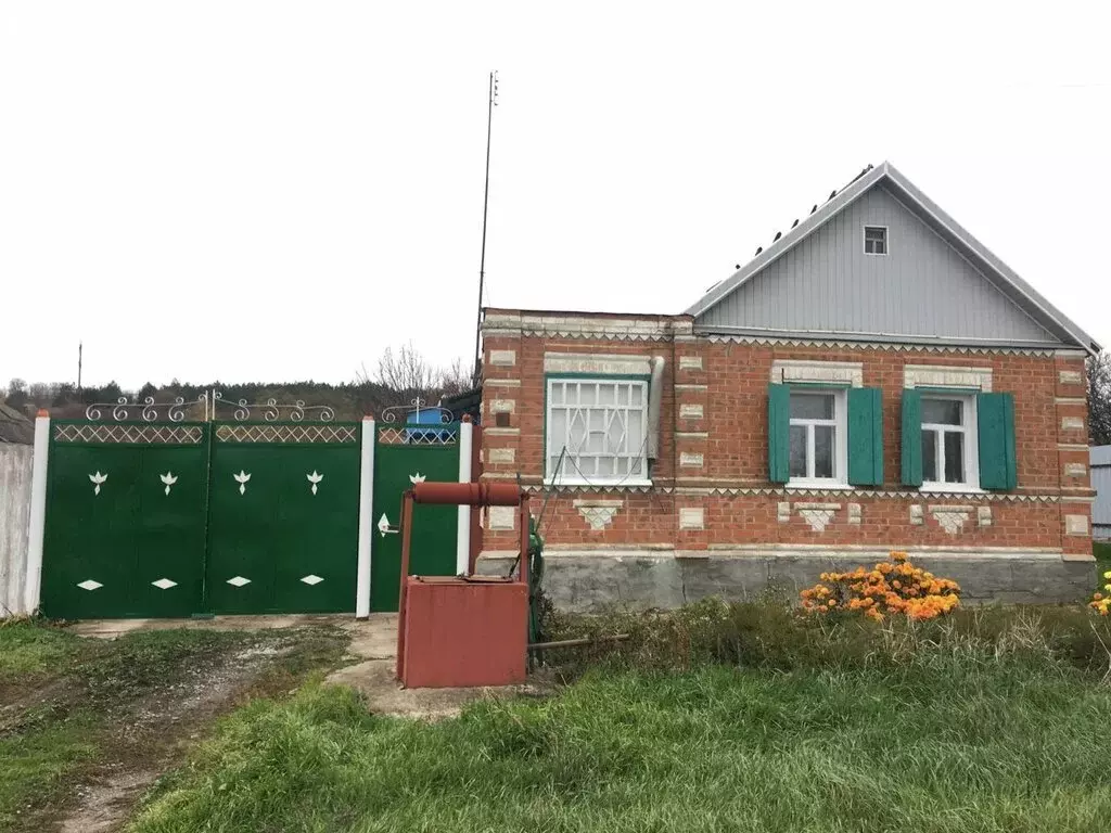 Дом в Неклиновский район, село Большая Неклиновка (53.9 м) - Фото 0