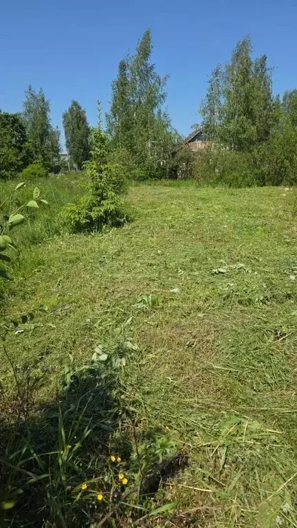 Участок в Ленинградская область, Тосненский район, Красный Бор пгт  ... - Фото 2