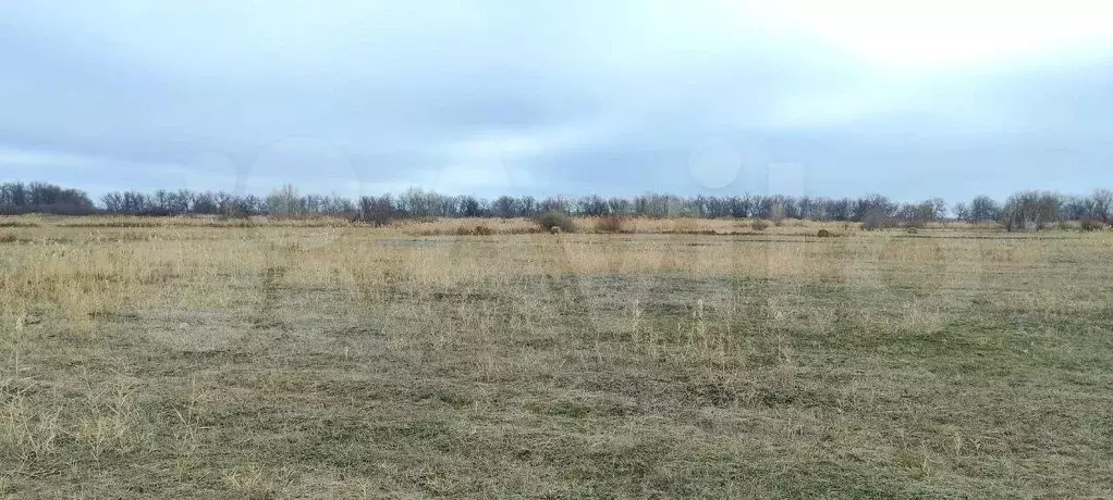 Участок 3,14 га (СНТ, ДНП) - Фото 1