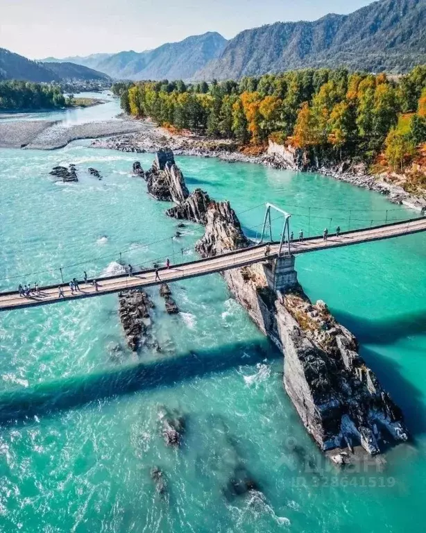 Участок в Алтай, Чемальский район, Аносинское с/пос  (12.0 сот.) - Фото 1