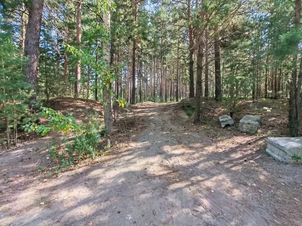 Гараж в Алтайский край, Бийск Дачная ул., 52с2 (100 м) - Фото 2