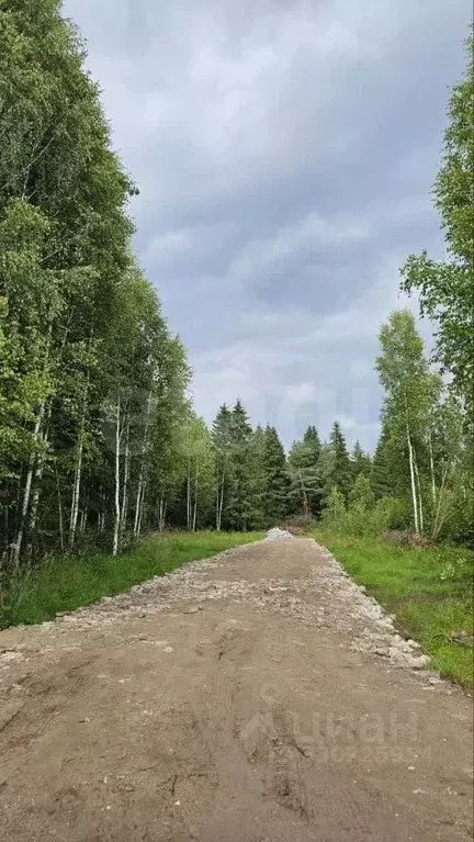 Участок в Пермский край, Краснокамский муниципальный округ, пос. ... - Фото 1