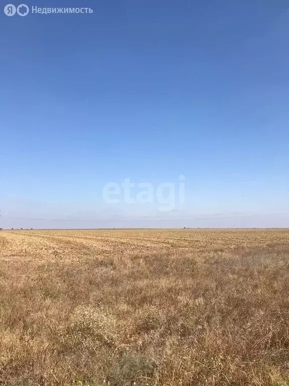 Участок в Сакский район, Штормовское сельское поселение, село ... - Фото 1