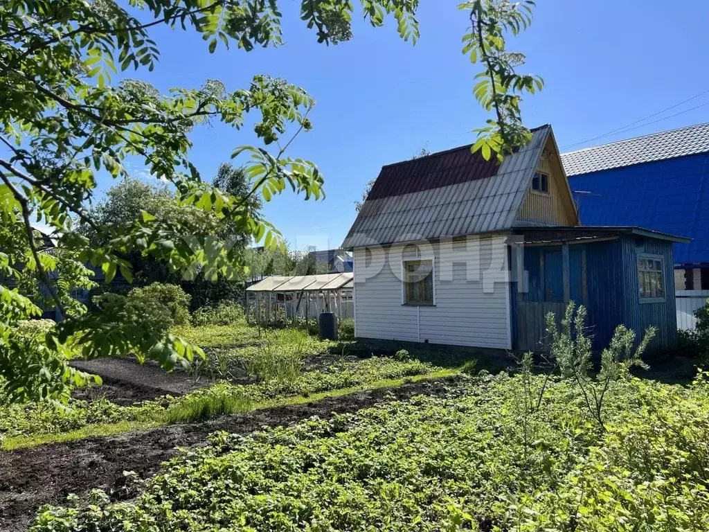 Участок в Новосибирская область, Новосибирский район, Верх-Тулинский ... - Фото 0