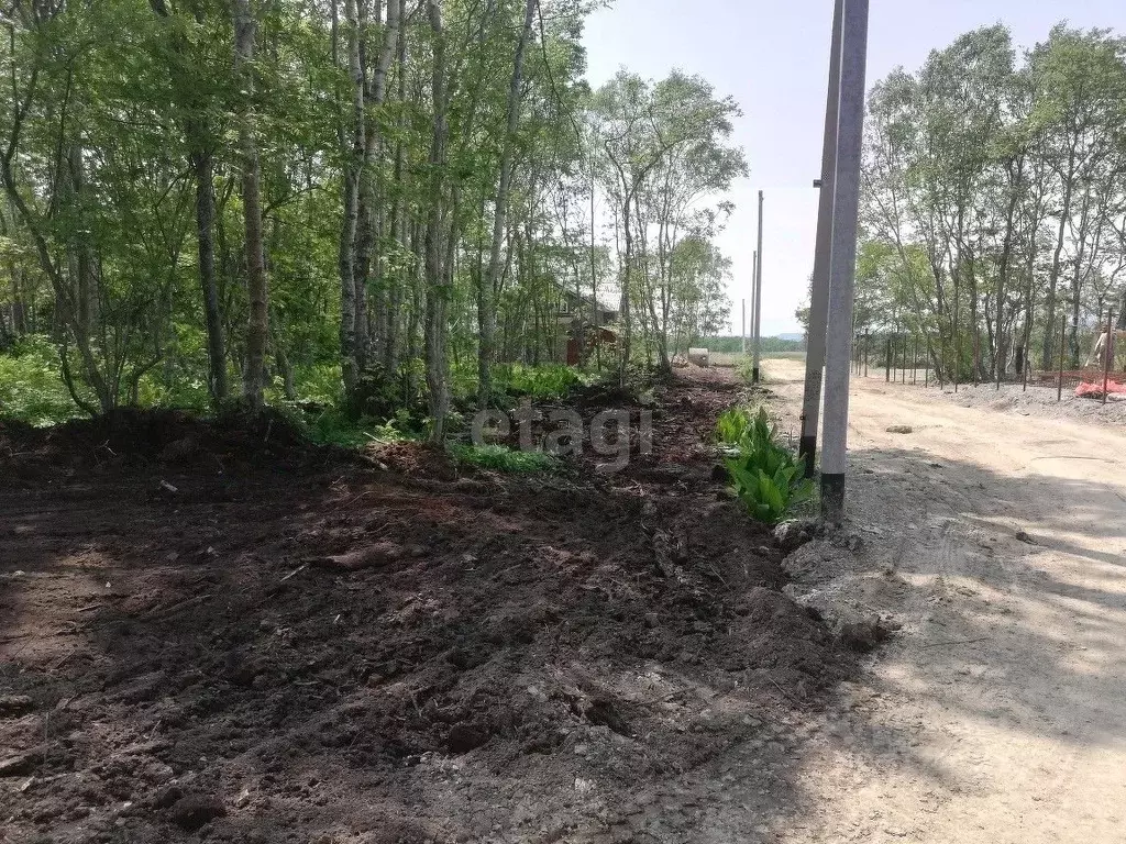 Участок в Сахалинская область, Анивский городской округ, с. Троицкое ... - Фото 2