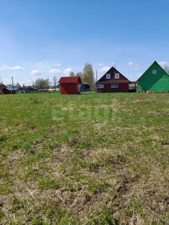 Участок в Вологодская область, Кадуйский муниципальный округ, д. ... - Фото 1