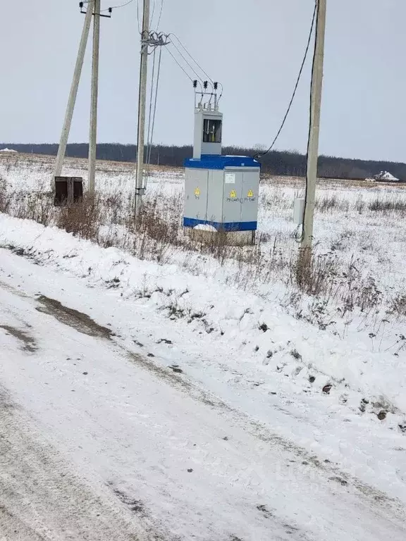 Участок в Воронежская область, Рамонский район, Новоживотинновское ... - Фото 1