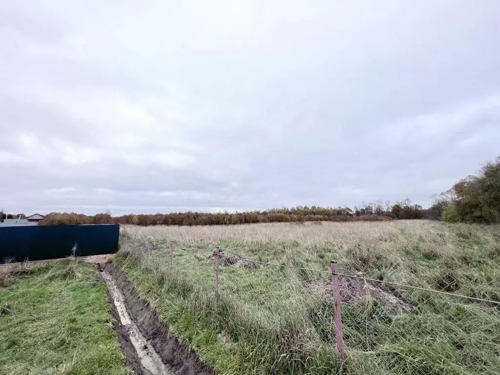 Участок в Ленинградская область, Выборгский район, Красносельское ... - Фото 2