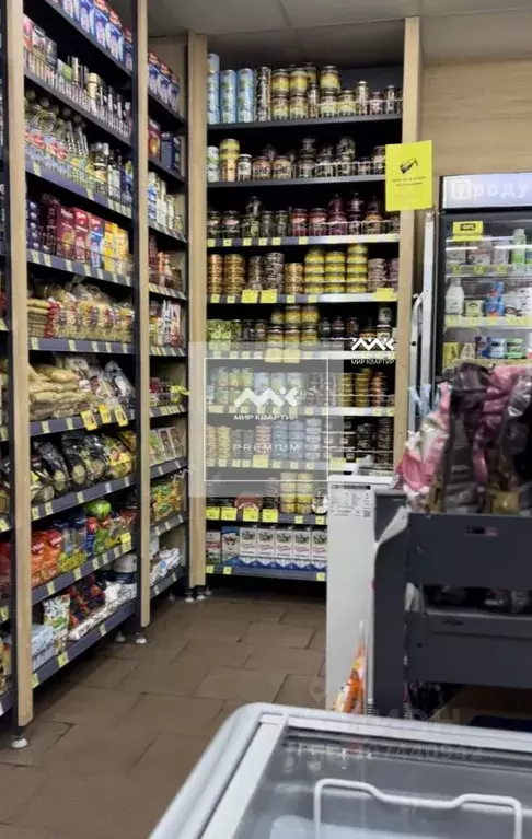 Торговая площадь в Санкт-Петербург ул. Жени Егоровой, 3К1 (105 м) - Фото 1