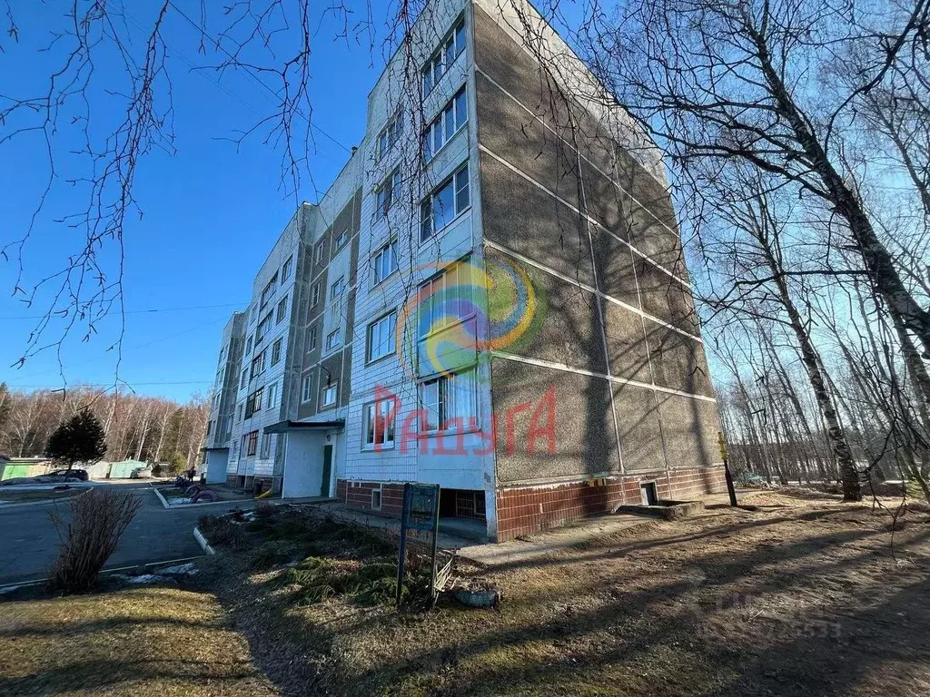 1-к кв. Ивановская область, Ивановский район, Озерновское с/пос, д. ... - Фото 2