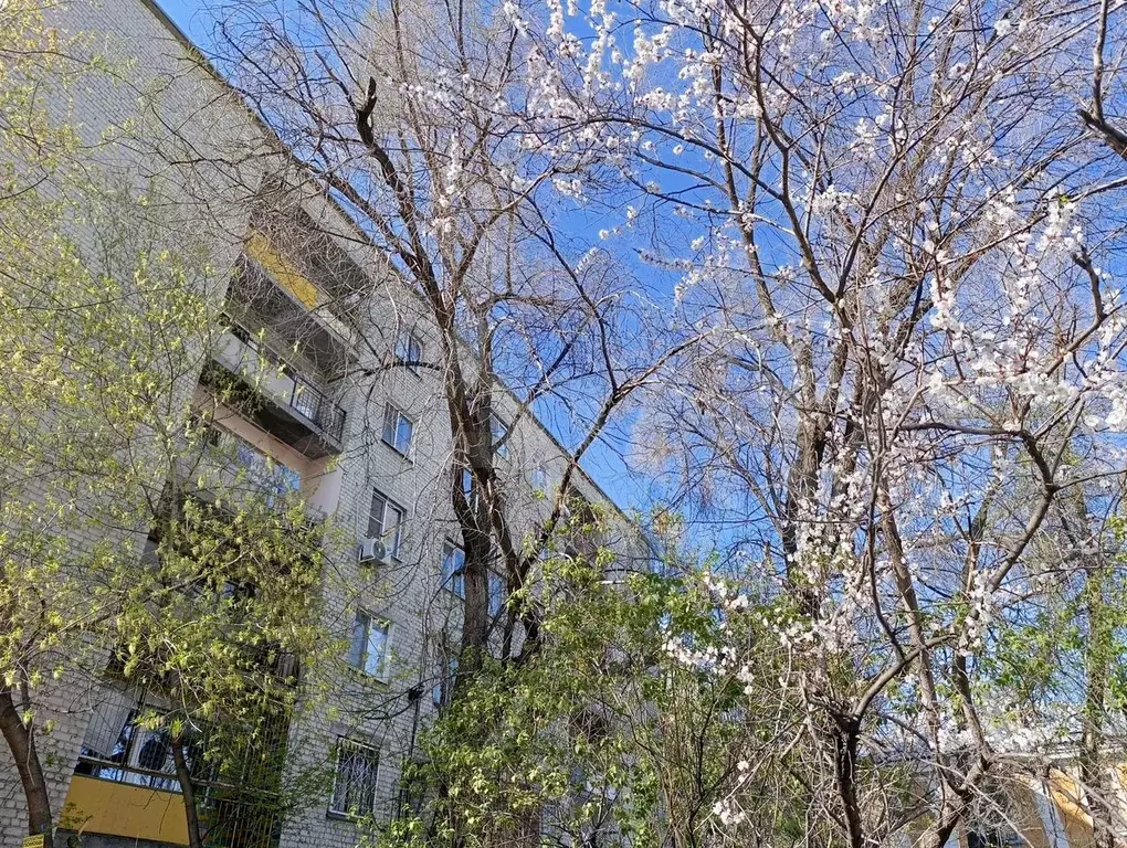 Комната 12 м в 4-к., 4/5 эт. - Фото 0