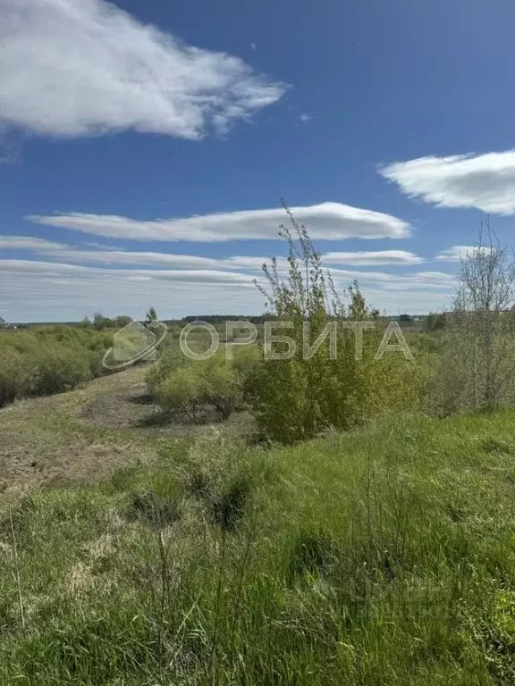 Участок в Тюменская область, Тюменский район, Винзили рп  (15.0 сот.) - Фото 1