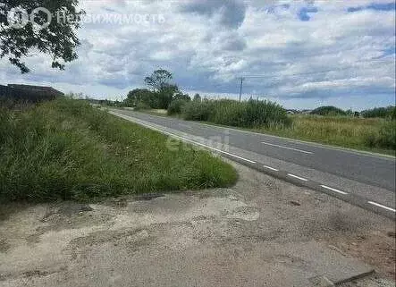 Участок в Калининградская область, Зеленоградский муниципальный округ, ... - Фото 1