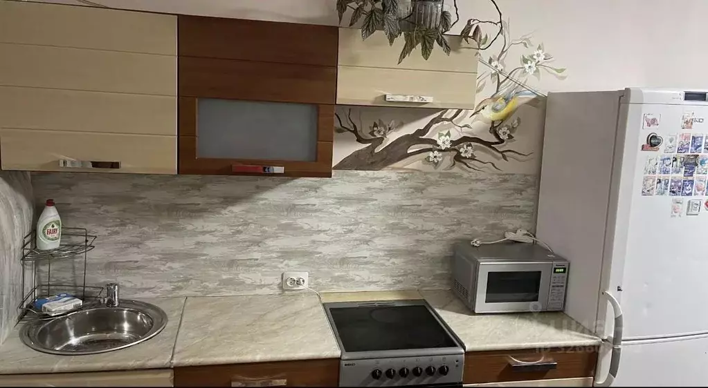 Студия Приморский край, Владивосток Сельская ул., 6 (24.0 м) - Фото 2