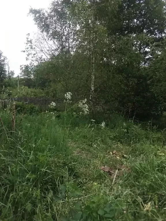 Участок в Московская область, Талдомский городской округ, д. Станки 35 ... - Фото 2